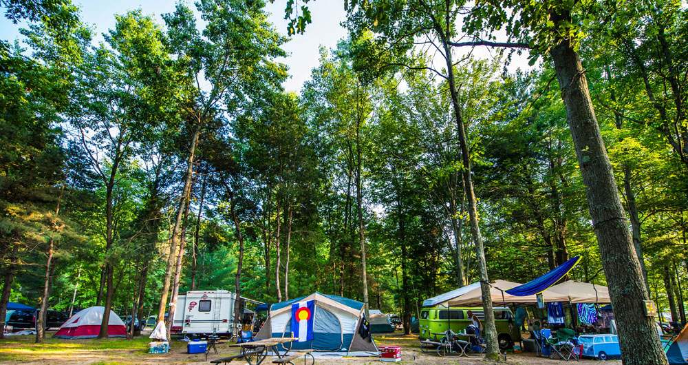 Electric Forest 2017: Michigan’s Destination Music Festival in June